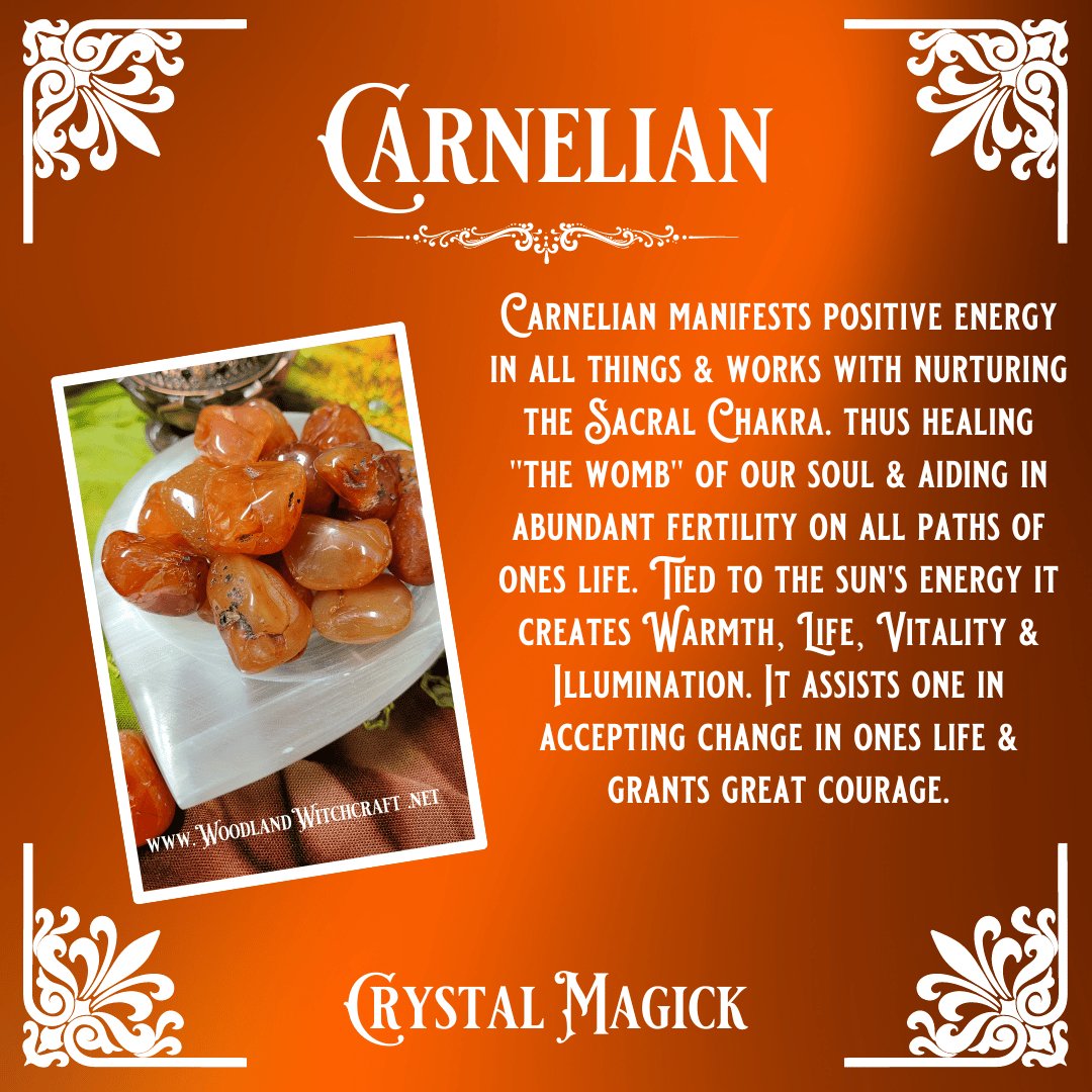 CARNELIAN TUMBLED GEMSTONE for Courage, Vitality & Motivation Woodland Witchcraft