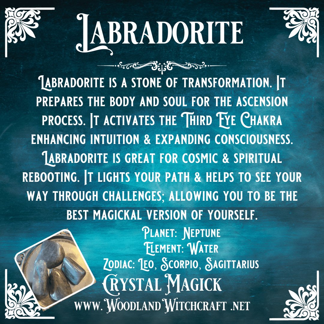 MADAGASCAR LABRADORITE HIGH FLASH Woodland Witchcraft