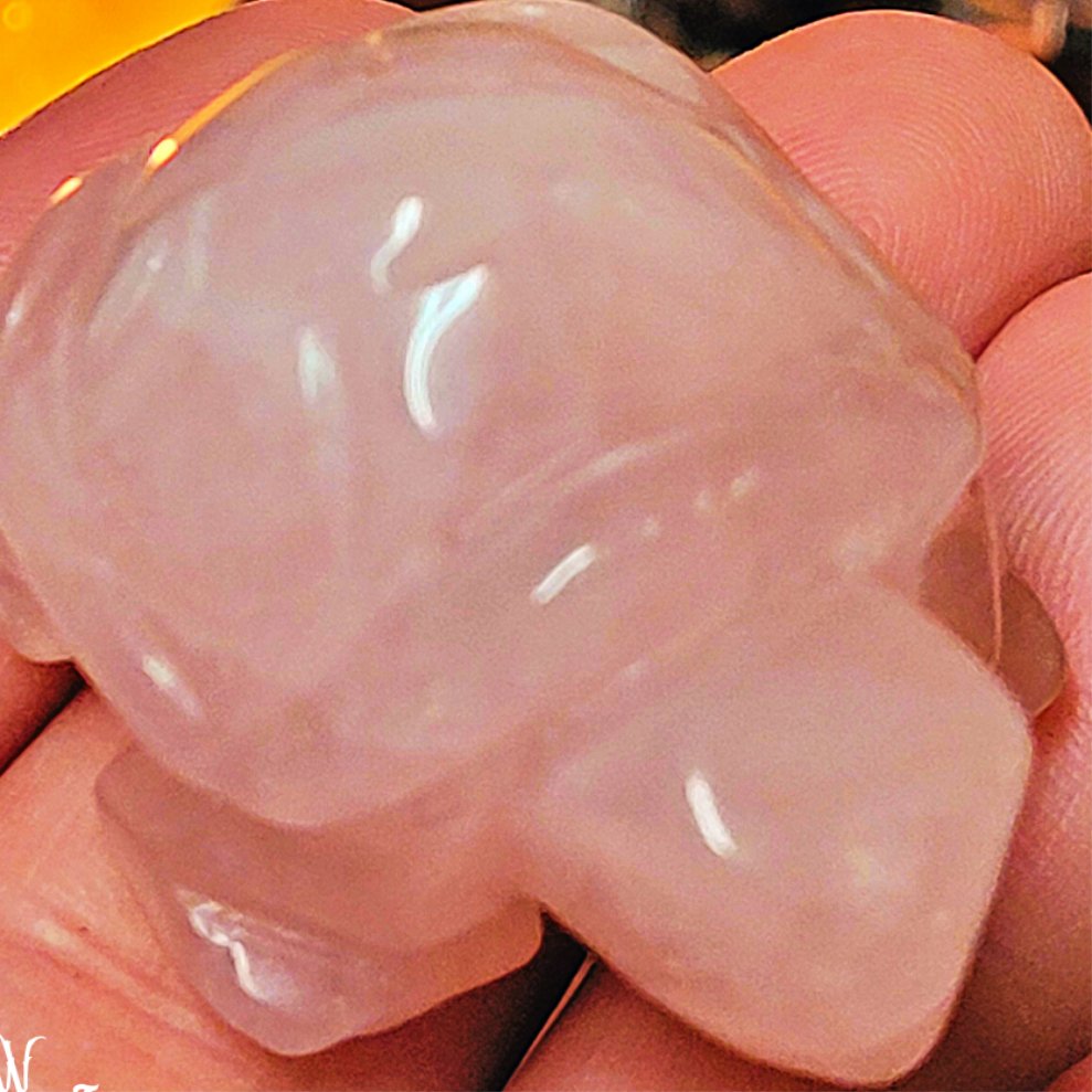 ROSE QUARTZ TURTLE Woodland Witchcraft