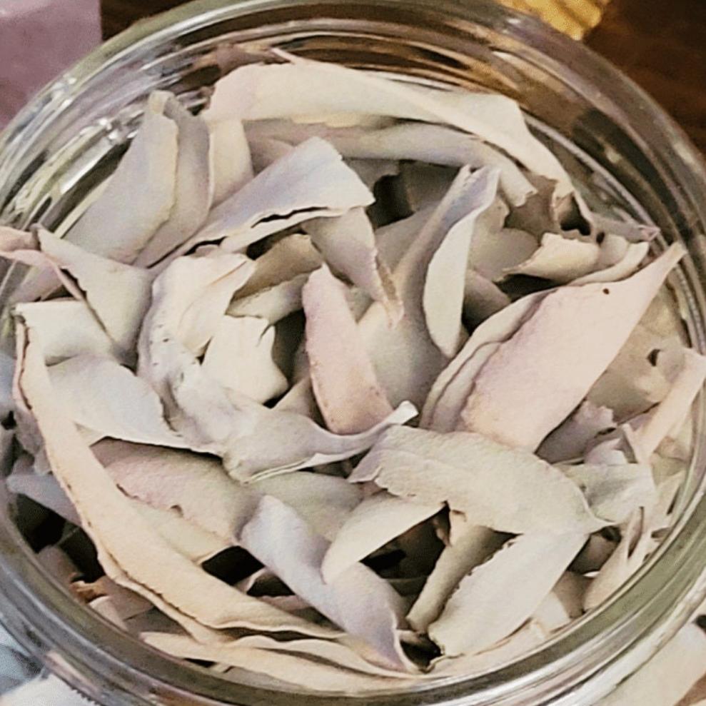 WHITE SAGE APOTHECARY Woodland Witchcraft