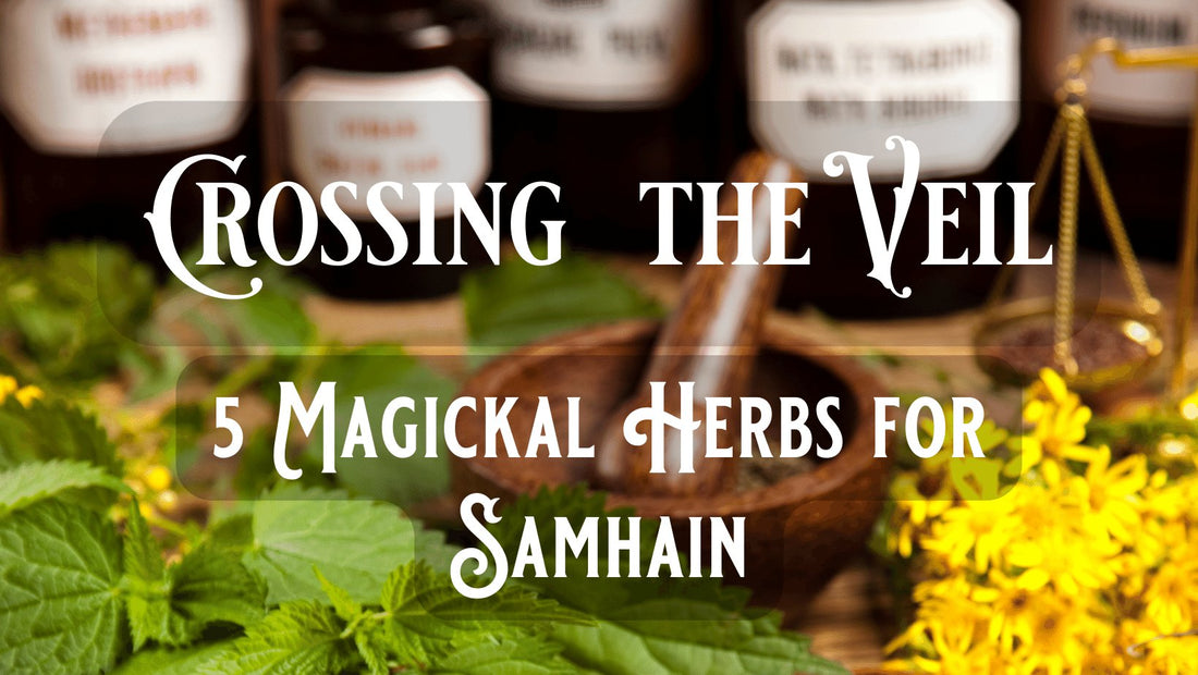 Crossing the Veil: 5 Magical Herbs for Samhain - Woodland Witchcraft