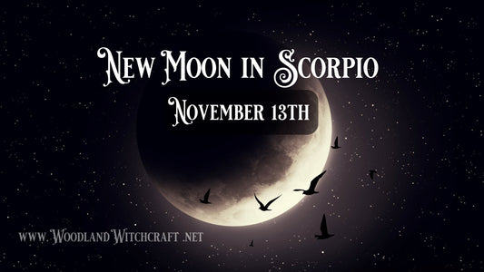New Moon in Scorpio - Woodland Witchcraft