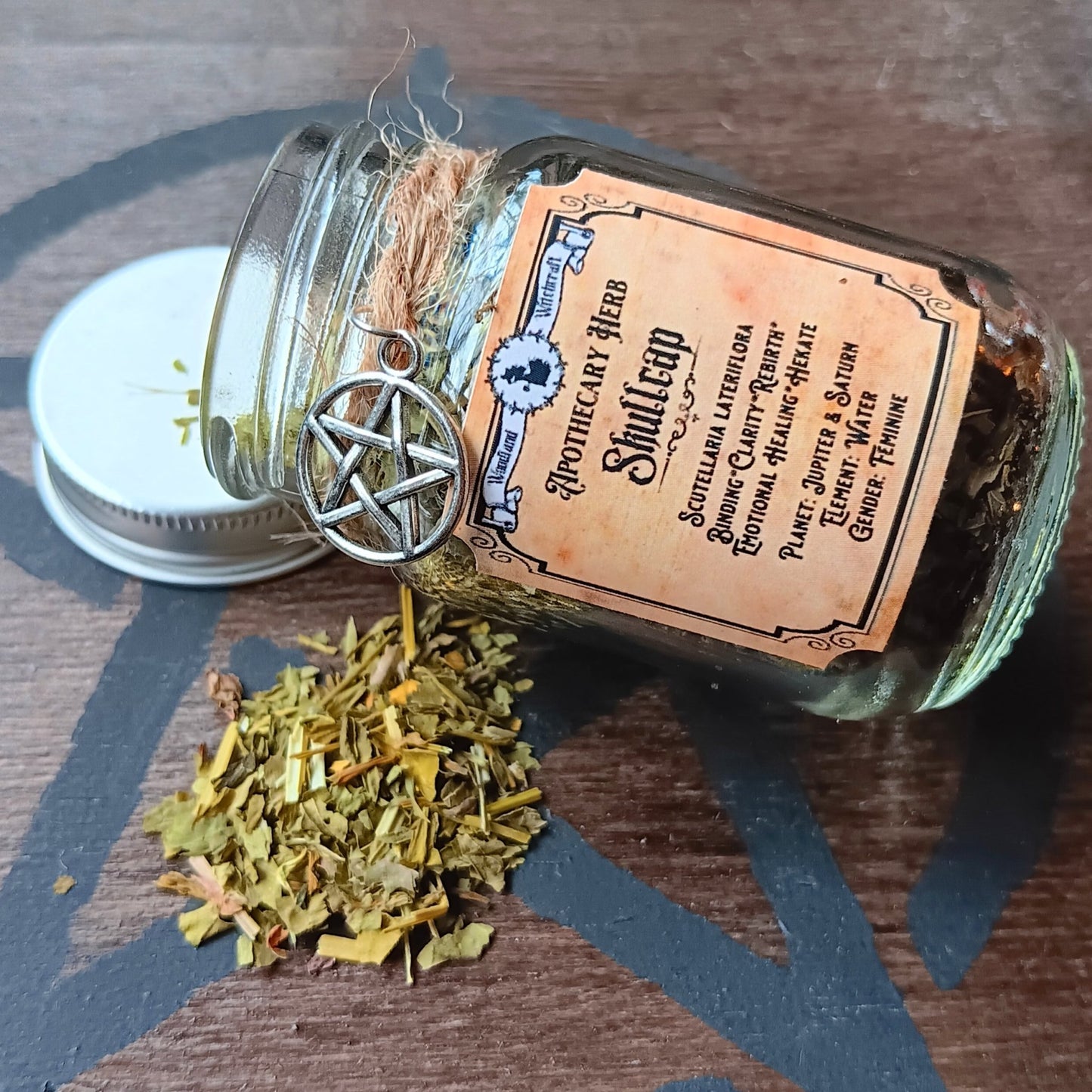 Skullcap Herb in jar by Woodland Witchcraft