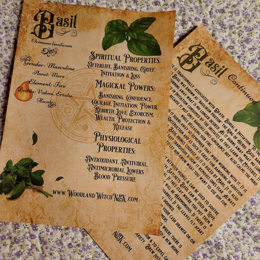 INSTANT DIGITAL DOWNLOAD~BASIL APOTHECARY Digital Downloads Woodland Witchcraft