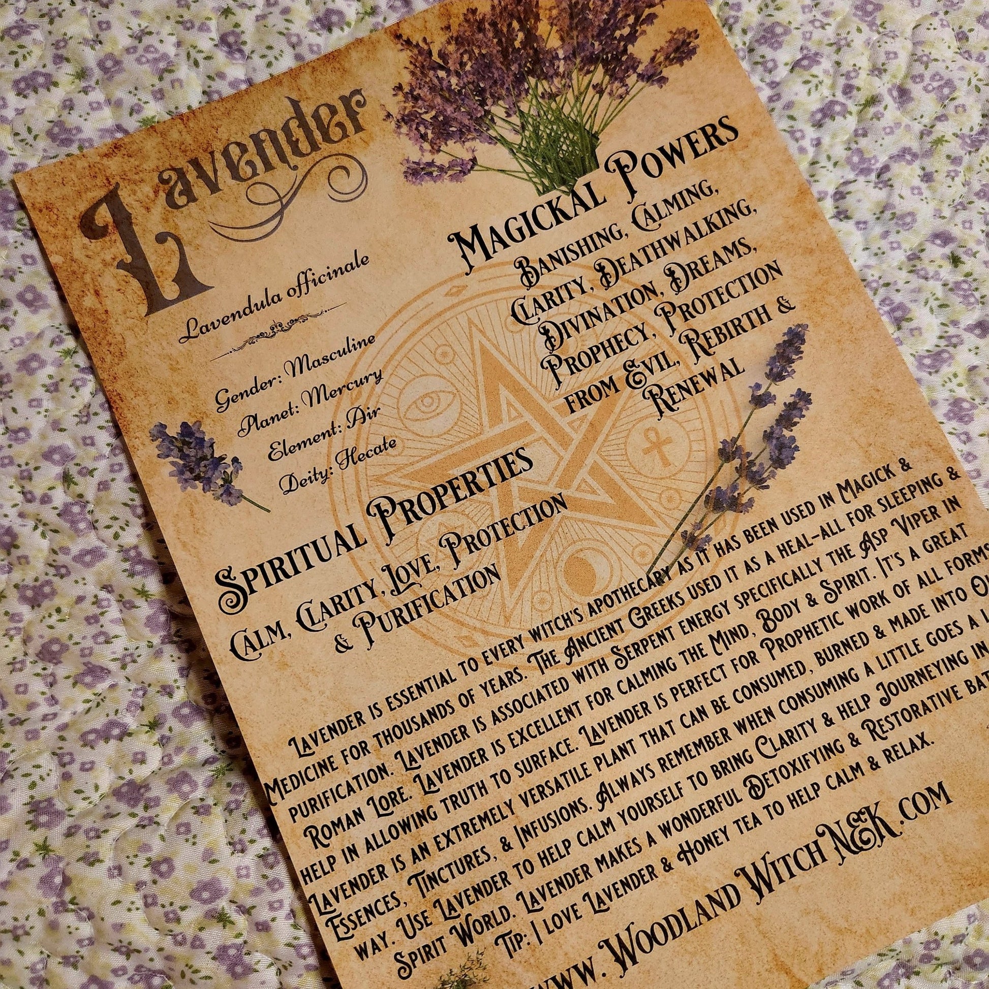 Lavender Flowers Grimoire Page Woodland Witchcraft
