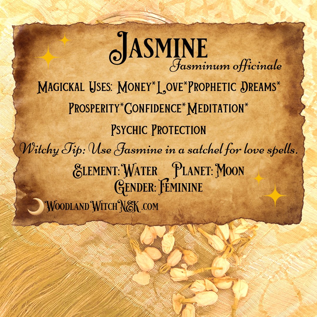 JASMINE FLOWER APOTHECARY Info card Woodland Witchcraft