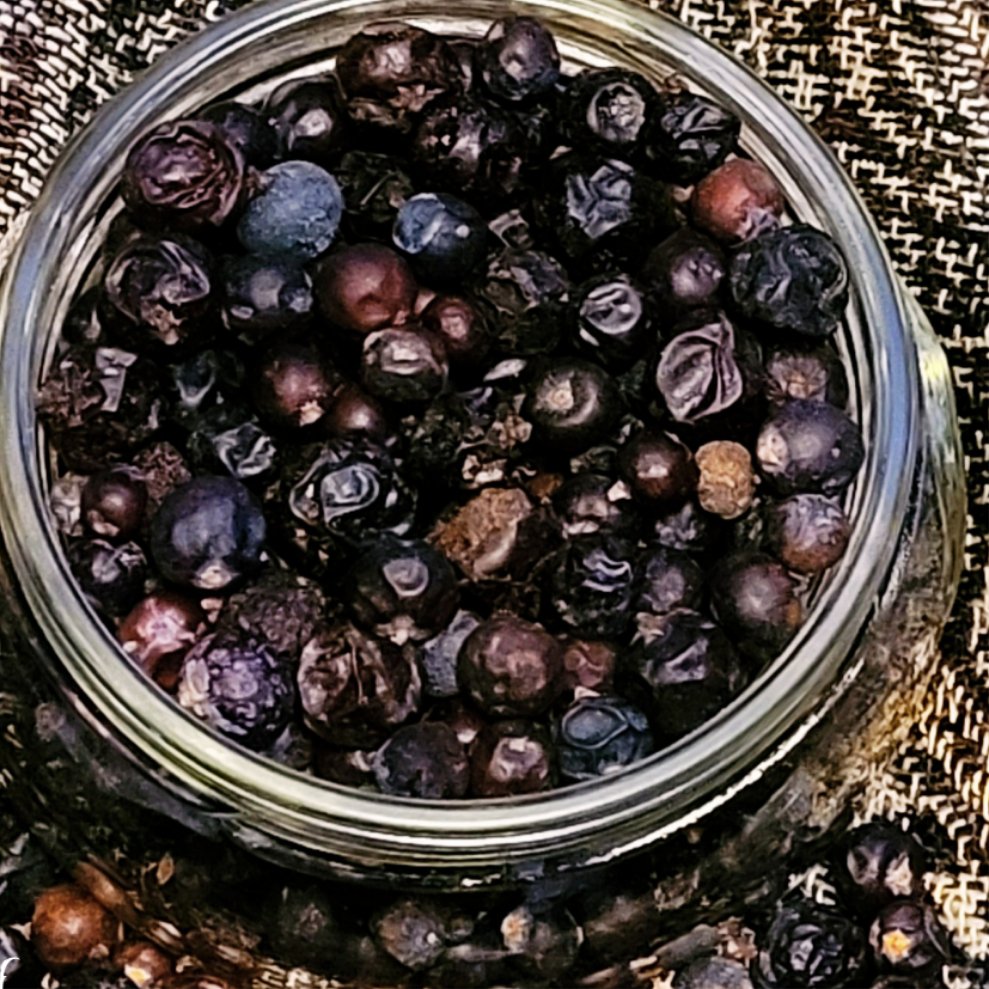 JUNIPER BERRIES APOTHECARY Woodland Witchcraft